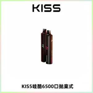 KIS5WAGOO哇酷6500口拋棄式 | 自由混搭雙口味 | 雙芯組合