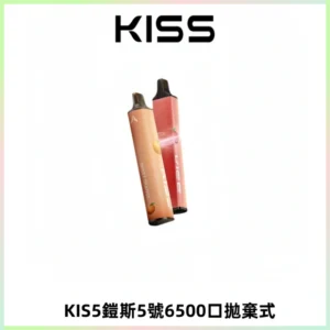 KIS5鎧斯5號一次性6500口磁吸式拋棄式電子煙#自由混搭#